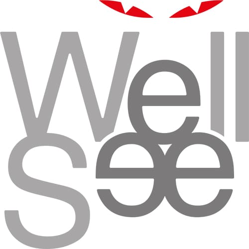 Logo WellSee